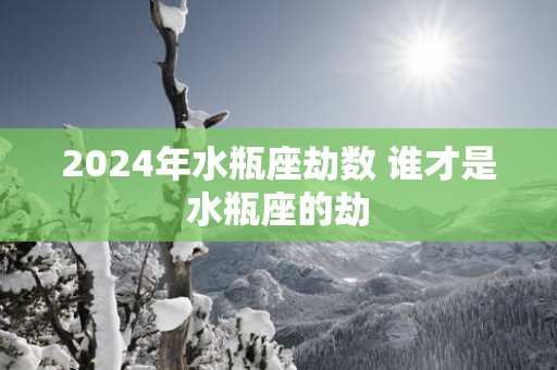 2025年水瓶座劫数 谁才是水瓶座的劫