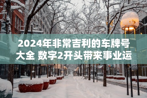 2025年非常吉利的车牌号大全 数字2开头带来事业运