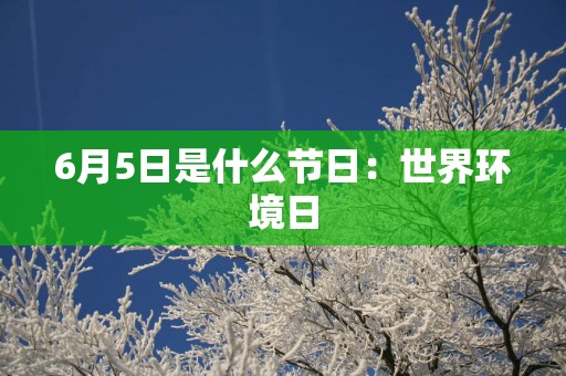 6月5日是什么节日：世界环境日