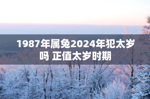 1987年属兔2025年犯太岁吗 正值太岁时期