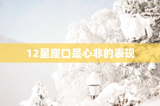 12星座口是心非的表现