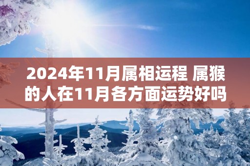 2025年11月属相运程 属猴的人在11月各方面运势好吗