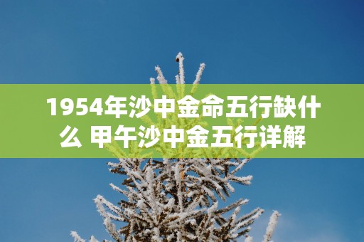 1954年沙中金命五行缺什么 甲午沙中金五行详解