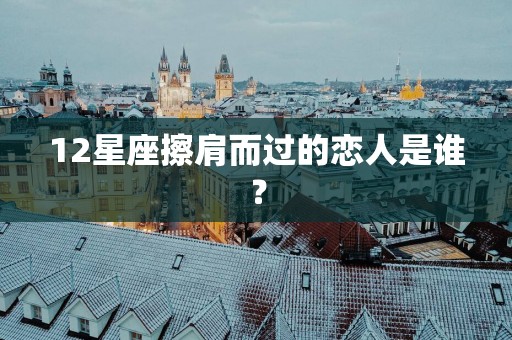 12星座擦肩而过的恋人是谁？