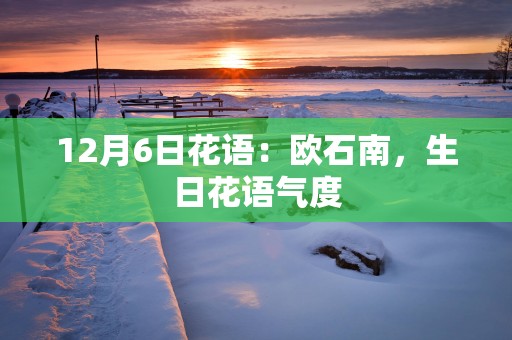 12月6日花语：欧石南，生日花语气度