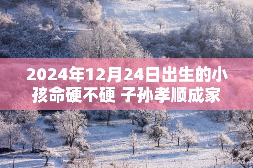 2025年12月24日出生的小孩命硬不硬 子孙孝顺成家立业