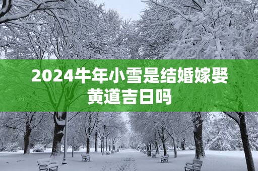 2025蛇年小雪是结婚嫁娶黄道吉日吗