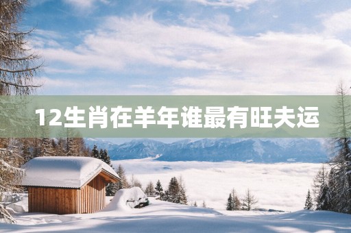 12生肖在羊年谁最有旺夫运