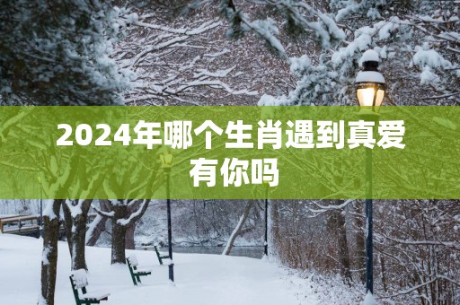2025年哪个生肖遇到真爱 有你吗