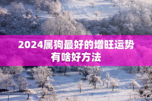 2025属狗最好的增旺运势有啥好方法