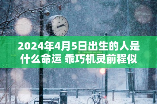 2025年4月5日出生的人是什么命运 乖巧机灵前程似锦