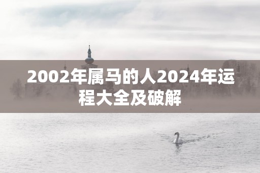 2002年属马的人2025年运程大全及破解