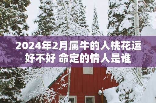 2025年2月属牛的人桃花运好不好 命定的情人是谁