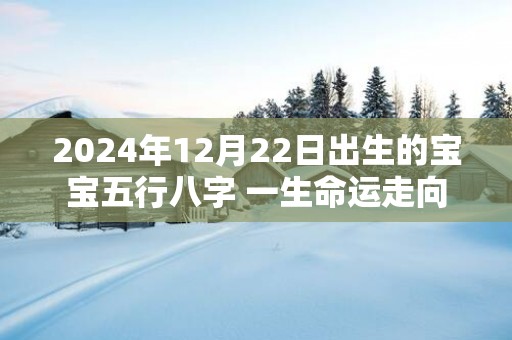 2025年12月22日出生的宝宝五行八字 一生命运走向