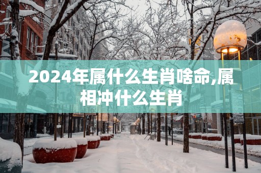 2025年属什么生肖啥命,属相冲什么生肖