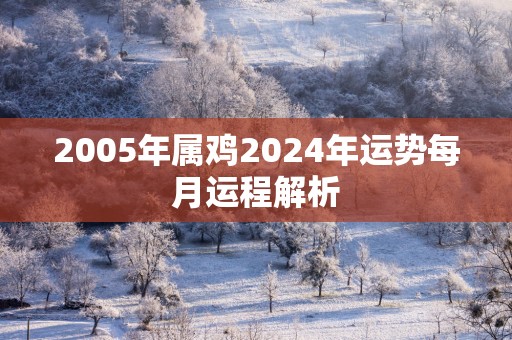2005年属鸡2025年运势每月运程解析