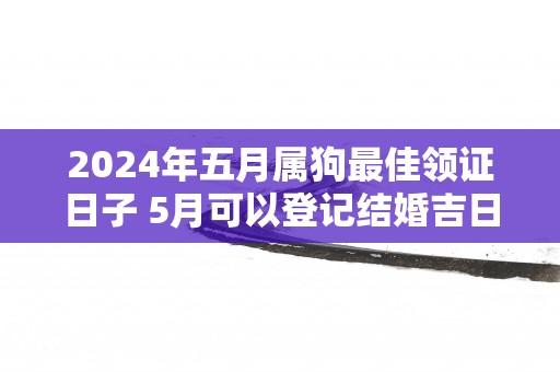 2025年五月属狗最佳领证日子 5月可以登记结婚吉日查询