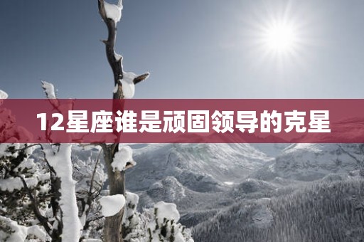 12星座谁是顽固领导的克星