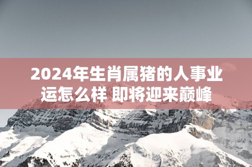 2025年生肖属猪的人事业运怎么样 即将迎来巅峰