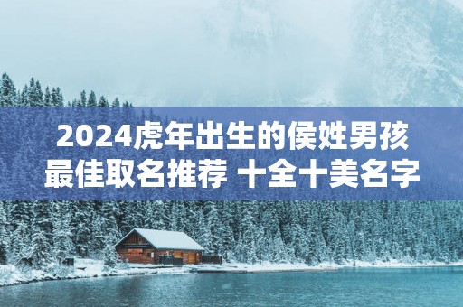 2025蛇年出生的侯姓男孩最佳取名推荐 十全十美名字范例