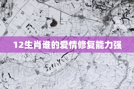 12生肖谁的爱情修复能力强