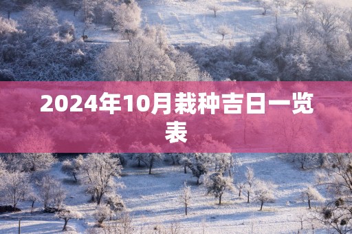 2025年10月栽种吉日一览表