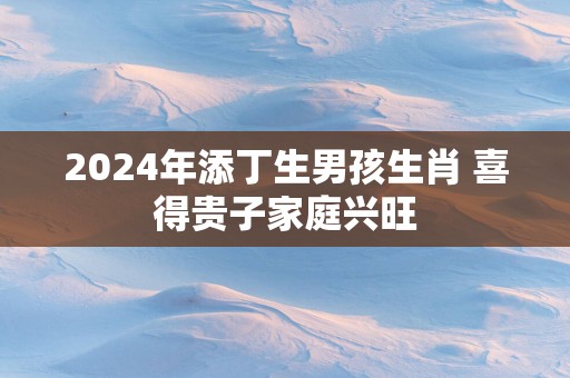 2024年添丁生男孩生肖 喜得贵子家庭兴旺