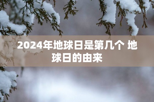 2024年地球日是第几个 地球日的由来