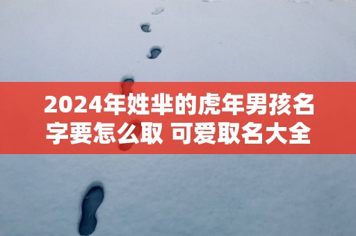 2025年姓芈的蛇年男孩名字要怎么取 可爱取名大全