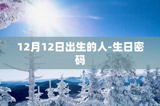 12月12日出生的人-生日密码