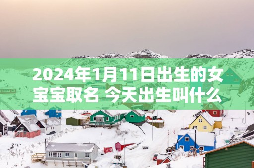 2025年1月11日出生的女宝宝取名 今天出生叫什么名字好