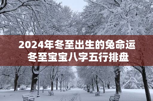 2025年冬至出生的兔命运 冬至宝宝八字五行排盘