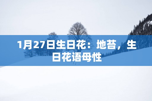 1月27日生日花：地苔，生日花语母性