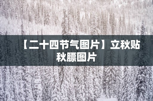 【二十四节气图片】立秋贴秋膘图片