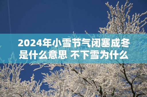 2025年小雪节气闭塞成冬是什么意思 不下雪为什么称小雪