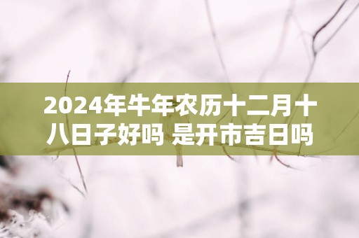 2025年蛇年农历十二月十八日子好吗 是开市吉日吗