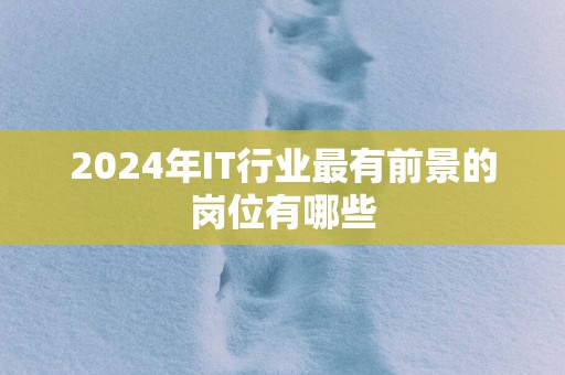 2025年IT行业最有前景的岗位有哪些