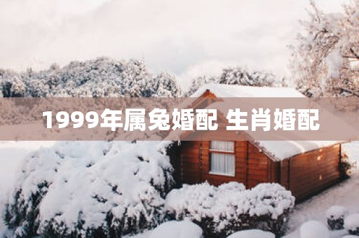 1999年属兔婚配 生肖婚配