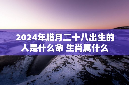 2025年腊月二十八出生的人是什么命 生肖属什么