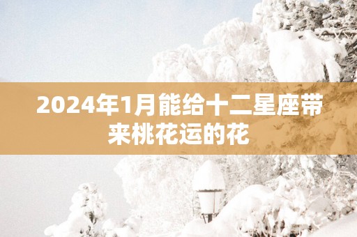 2025年1月能给十二星座带来桃花运的花 2025年1月能给十二星座带来桃花运的花