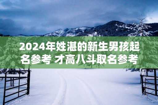 2025年姓湛的新生男孩起名参考 才高八斗取名参考