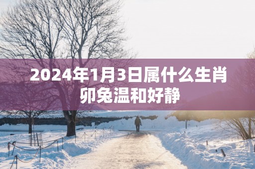 2025年1月3日属什么生肖 卯兔温和好静
