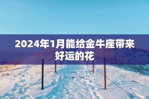 2025年1月能给金牛座带来好运的花