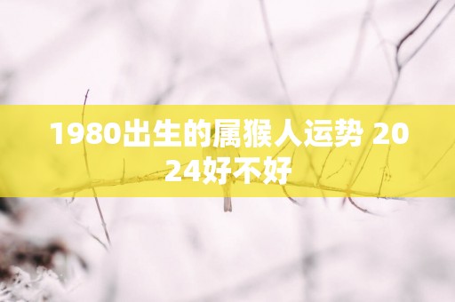 1980出生的属猴人运势 2025好不好