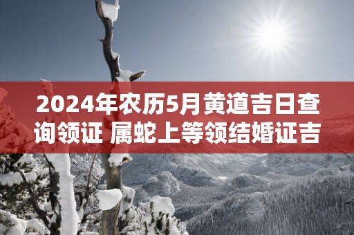 2025年农历5月黄道吉日查询领证 属蛇上等领结婚证吉日