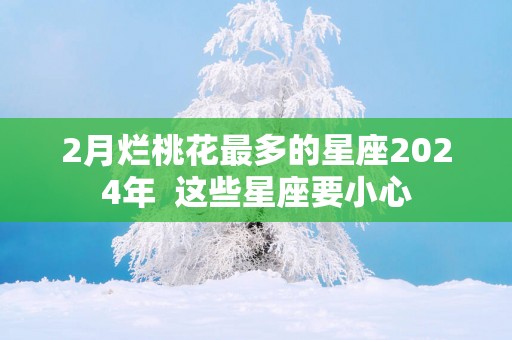 2月烂桃花最多的星座2025年  这些星座要小心