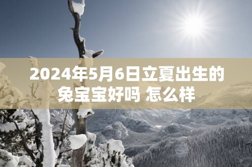 2025年5月6日立夏出生的兔宝宝好吗 怎么样