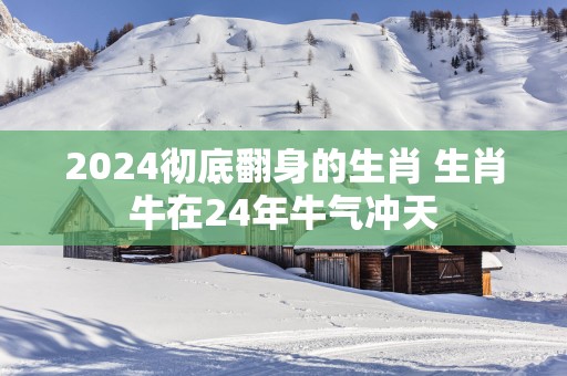 2025彻底翻身的生肖 生肖牛在24年牛气冲天