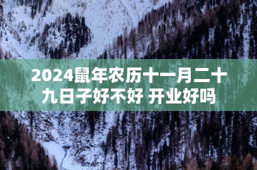 2025蛇年农历十一月二十九日子好不好 开业好吗