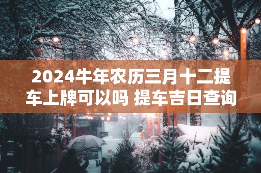 2025蛇年农历三月十二提车上牌可以吗 提车吉日查询